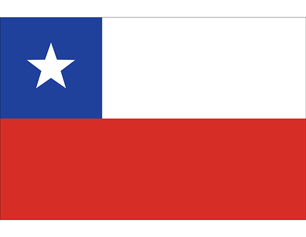 Lanzamiento web AENOR Chile